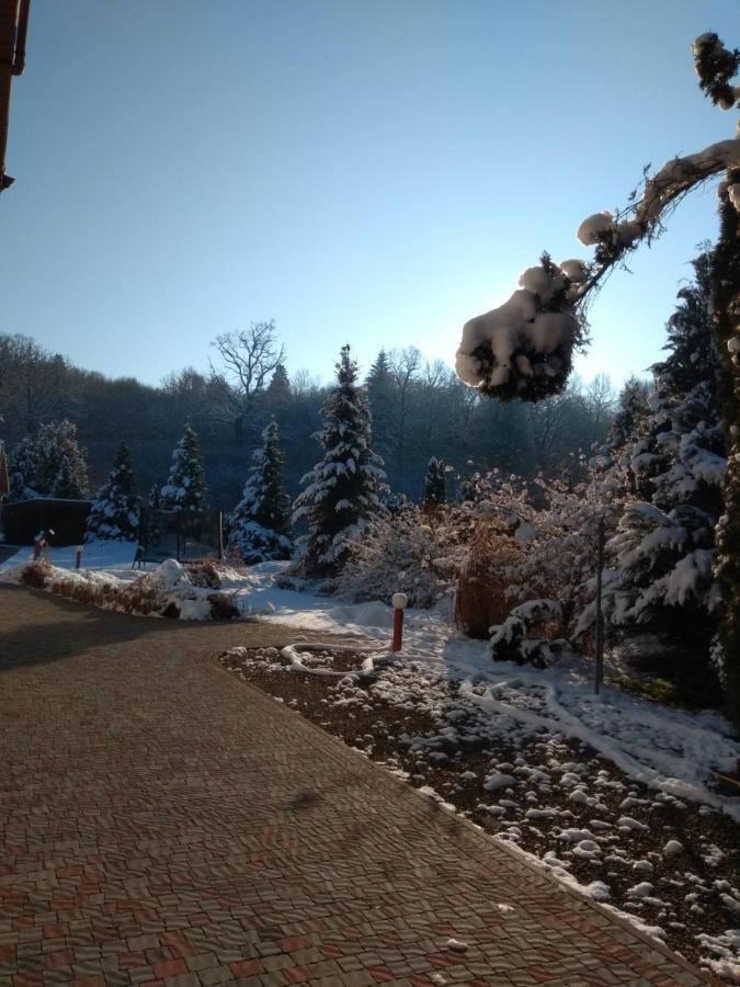 Вілла Едельвейс Morshyn Esterno foto
