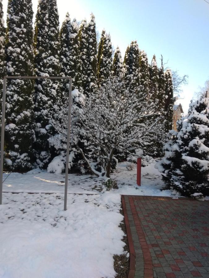 Вілла Едельвейс Morshyn Esterno foto